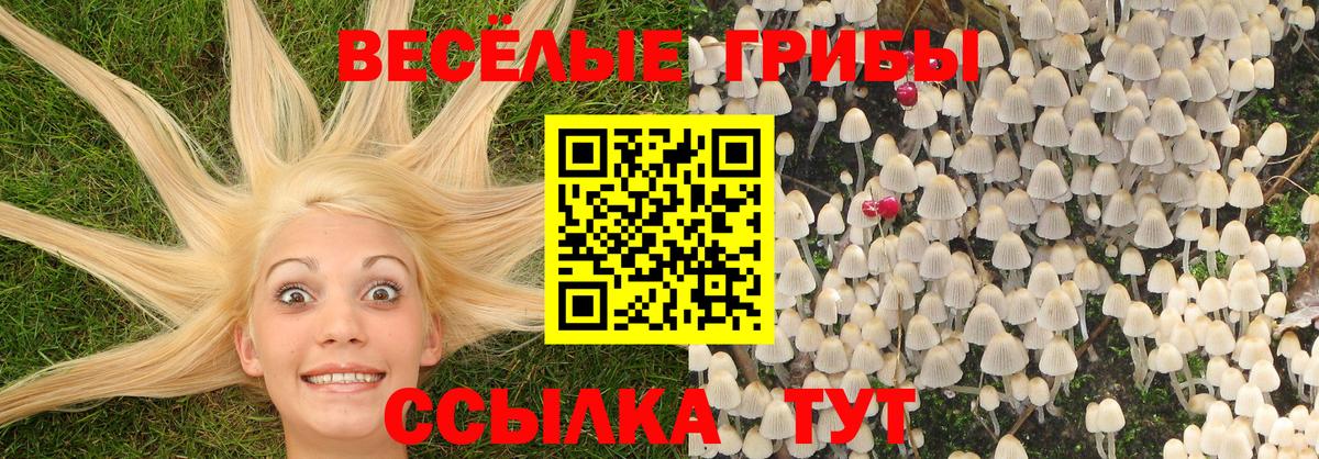 Псилоцибиновые грибы прущие грибы Донецк